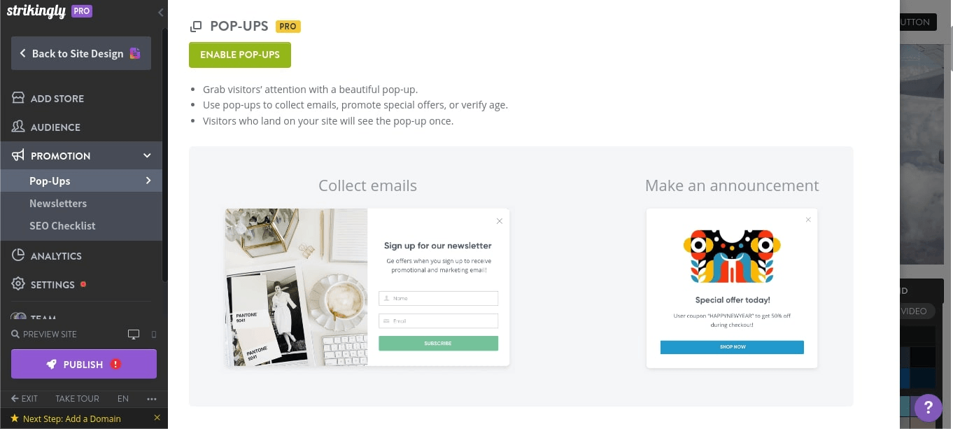 null Promotion options for website of multiple businesses on Strikingly